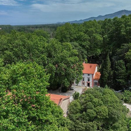 Domaine Castell De Bles Bed & Breakfast Saint-Génis Exterior photo